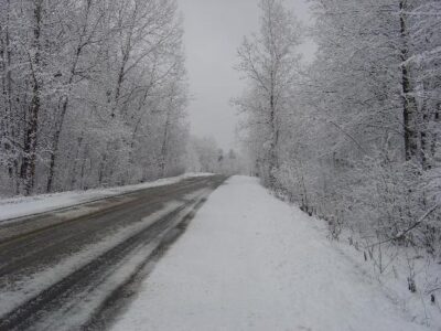 Getting Lost in the Woods Image